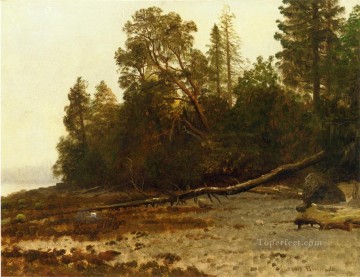 Albert Bierstadt Painting - The Fallen Tree Albert Bierstadt
